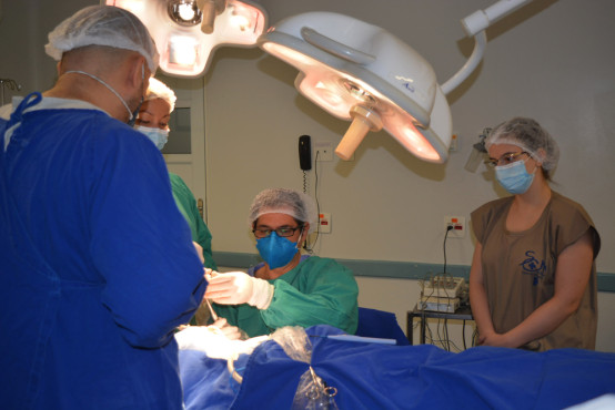 Santa Casa realiza implante coclear bilateral que devolve capacidade de ouvir para quem tem perda auditiva