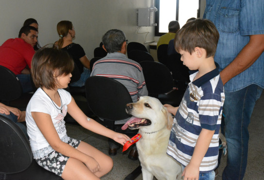 Crianças do setor de oncologia da Santa Casa recebem visita de cachorro